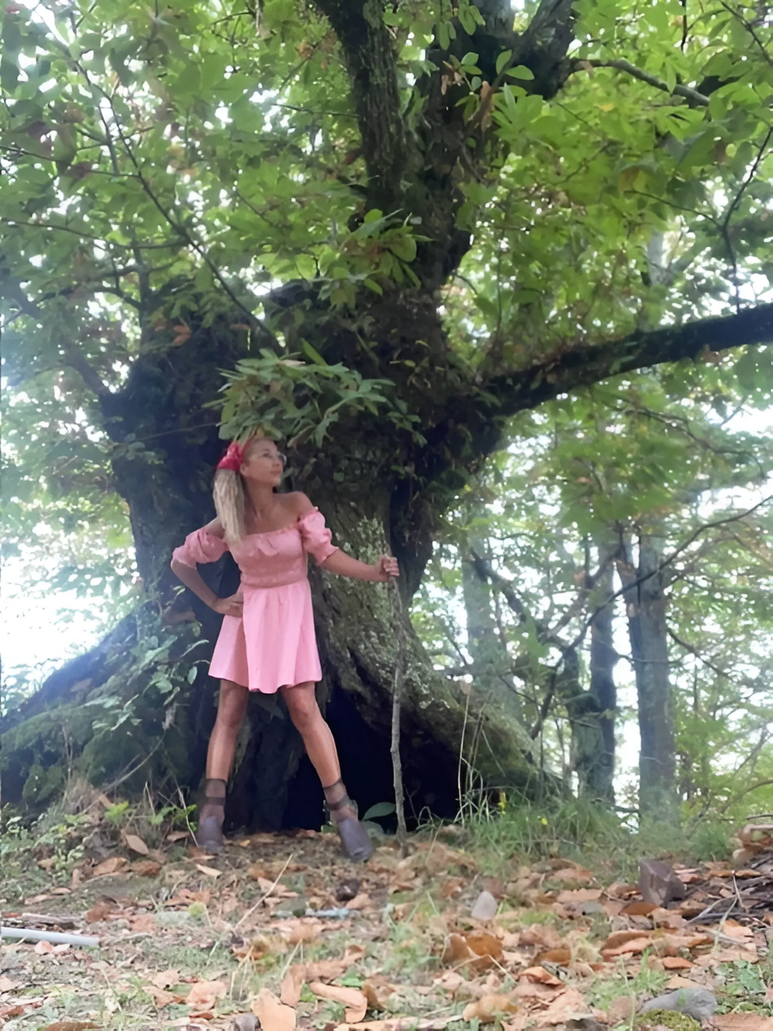 Vrouw in een roze jurk bij een grote oude boom in het bos